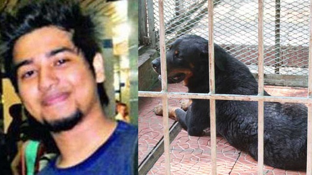 হাইকোর্টের রায়ে ৩ জনের মৃত্যুদণ্ড বহাল, দুজন খালাস