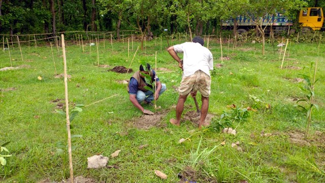দুই কোটি টাকার বনভূমি উদ্ধার করে চারা রোপন