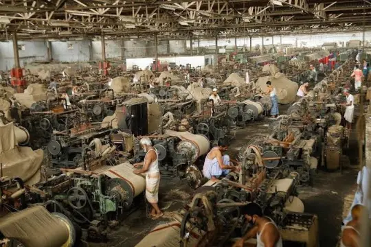 Govt takes initiative to reopen jute mills, create 50,000 jobs