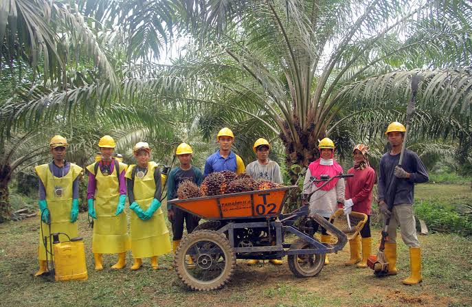 Malaysia opens doors for Bangladeshi workers in plantation sector