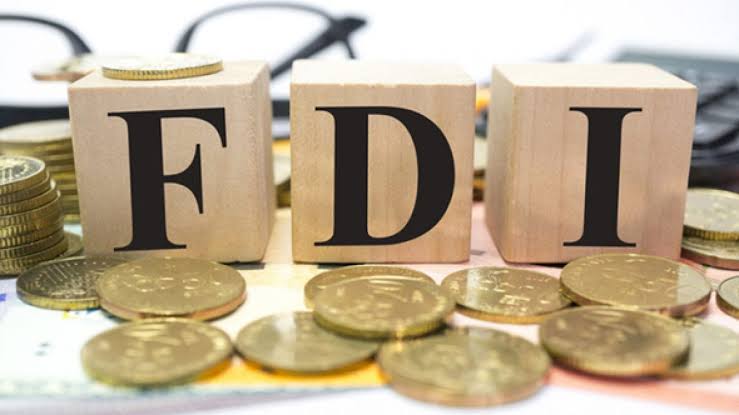 FDI drops to 8.8pc in FY24 due to election, exchange rate fluctuations