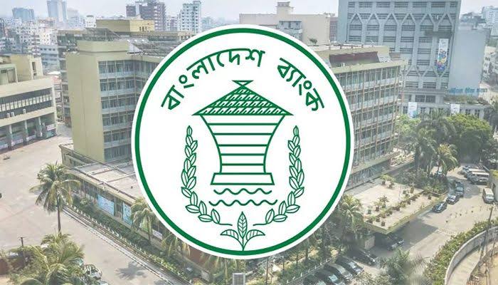 Troubled banks face Tk 16.63b losses for banking system abuse: Experts