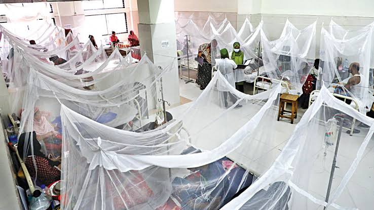 Dengue claims 4 lives, 444 hospitalised