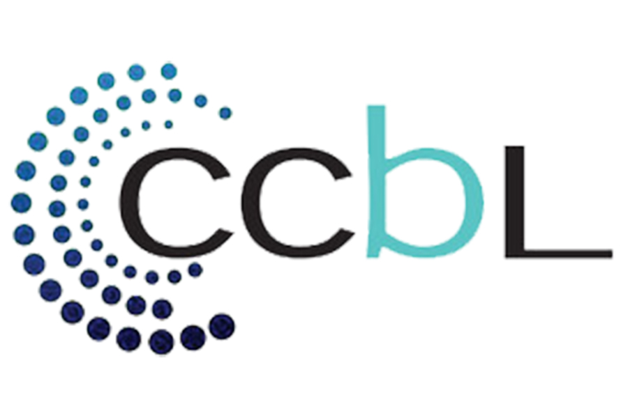 DSE voices concerns over CCBL procurements ahead of operations launch