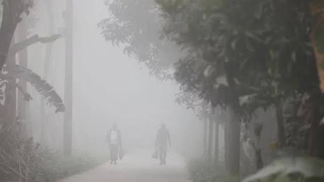 Multiple cold waves loom as dense fog grips Bangladesh