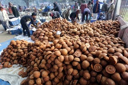 Molasses imported from Pakistan amid Indian duty hike