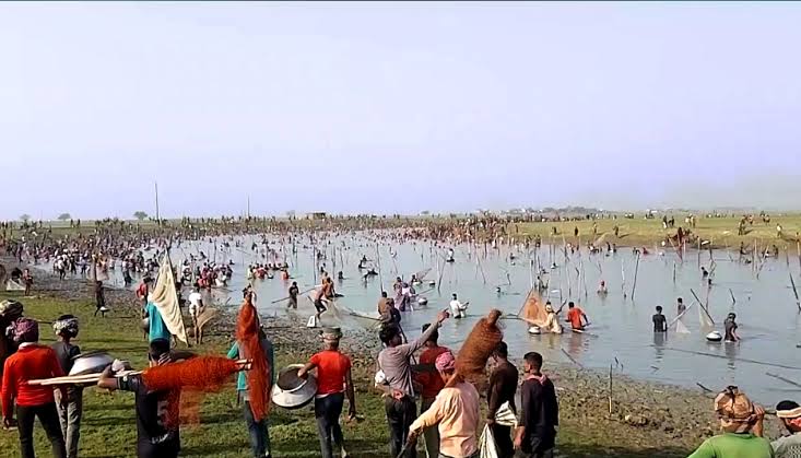 মাইকে ঘোষণা দিয়ে আটটি বিলের মাছ লুট