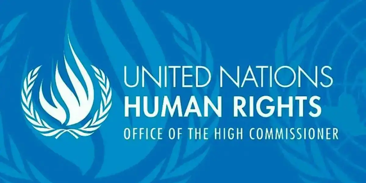 UN urges interim govt to take urgent steps to freeze, seize stolen assets