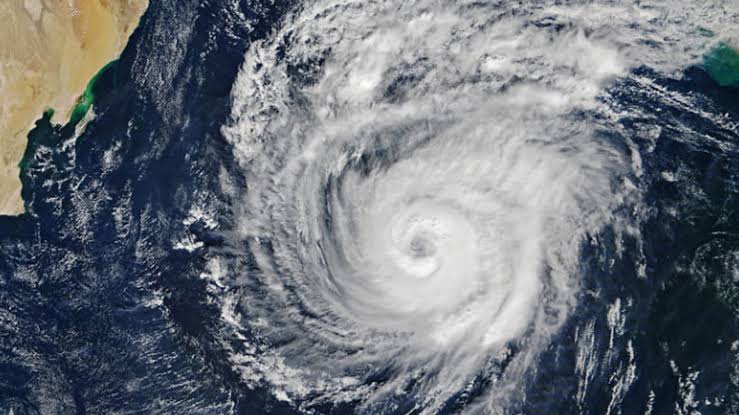 Low pressure area over Bay intensifies into well-marked low