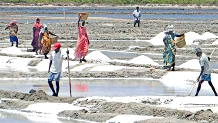 কুরবানি সামনে রেখে অত্যধিক লবণের মজুদ