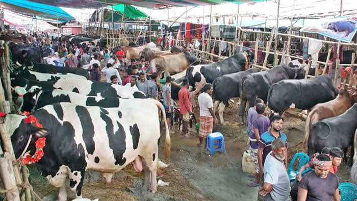 Buyers relieved as cattle prices drop ahead of Eid-ul-Adha