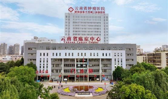 China vows hassle-free healthcare for Bangladeshi patients in Yunnan