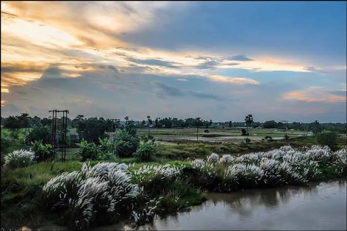 শুভ্রতায় মোড়ানো উৎসবের ঋতু শরৎ