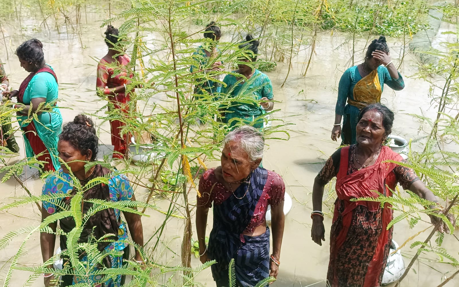 বাগদী কন্য জ্যোৎস্না