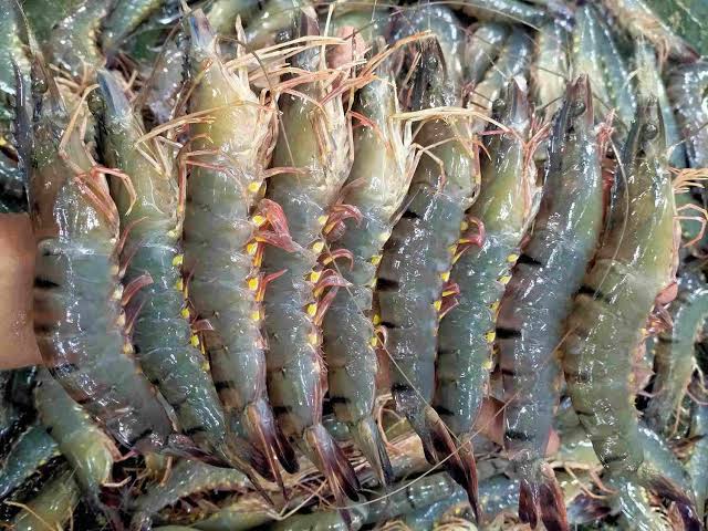Khulna’s ‘white gold’ eyes Tk 22,600cr export goal