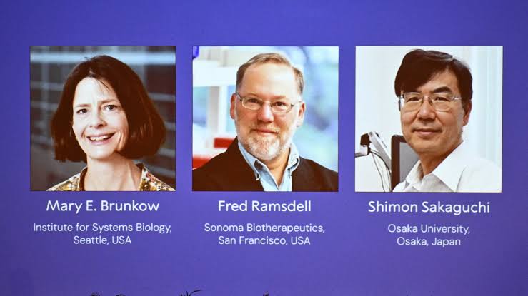 US-Japanese trio win medicine Nobel for immune system research