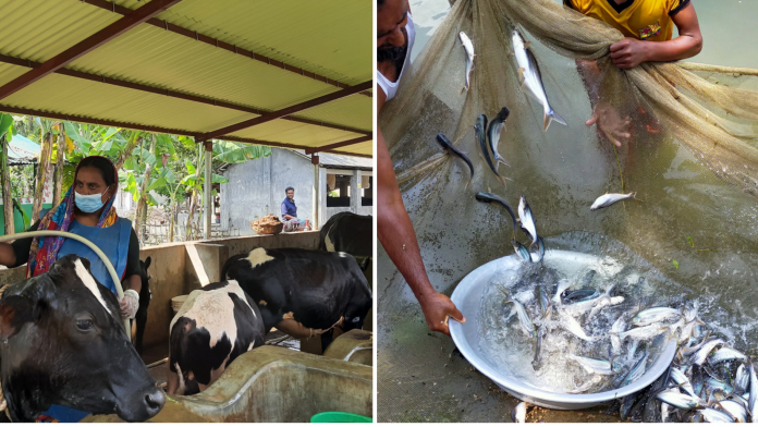 Animal, poultry feed to get 20pc power rebate