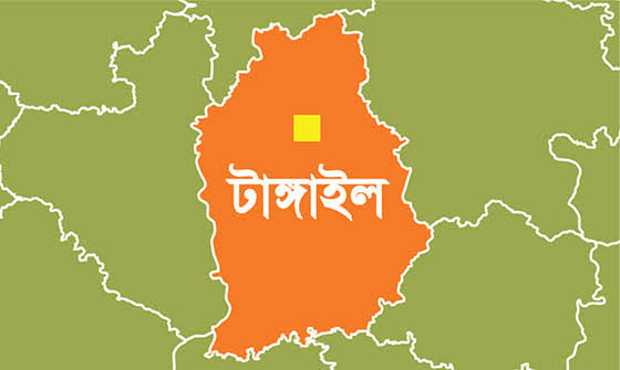 টাঙ্গাইলে ৮টি আসনের ৭টিতেই নিরঙ্কুশ জয় বিএনপির