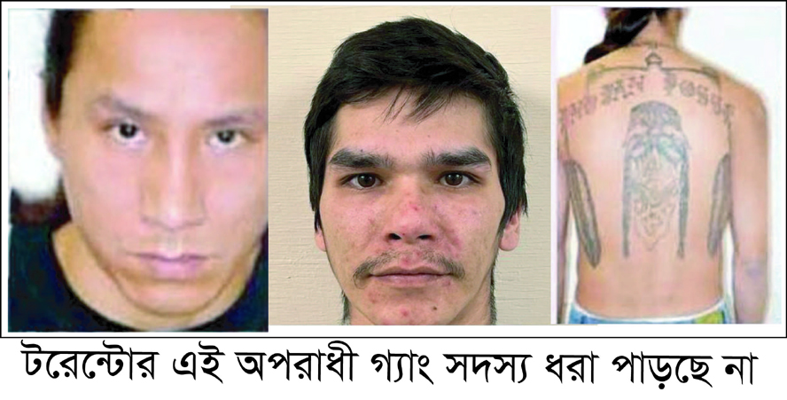 Gang members in Toronto who killed Bangladeshi student are not being caught