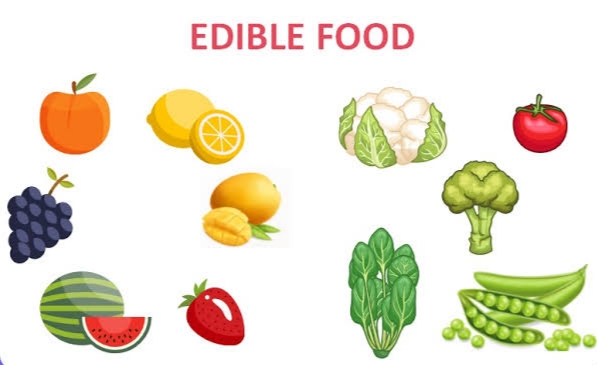 The Gastro-Economic Frontier: Mining Bangladesh's Edible Soft Power