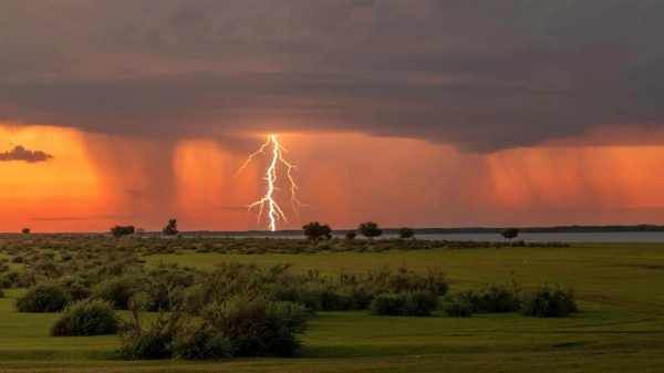 12 killed in lightning strikes in six districts
