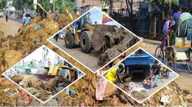 কোরবানির পশুর বর্জ্য ব্যবস্থাপনা