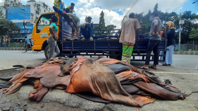 Amid an acute shortage of storage options, the seasonal traders and madrasahs are dumping the hides...