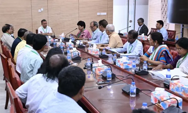 PM for collective efforts to build prosperous, discrimination-free Bangladesh