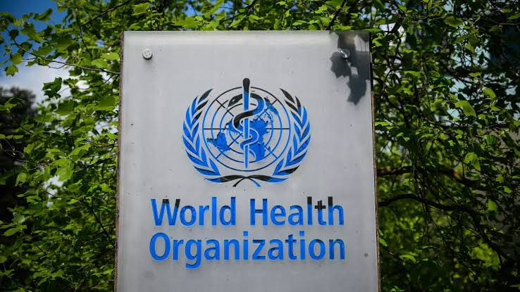 WHO to review its pandemic handling