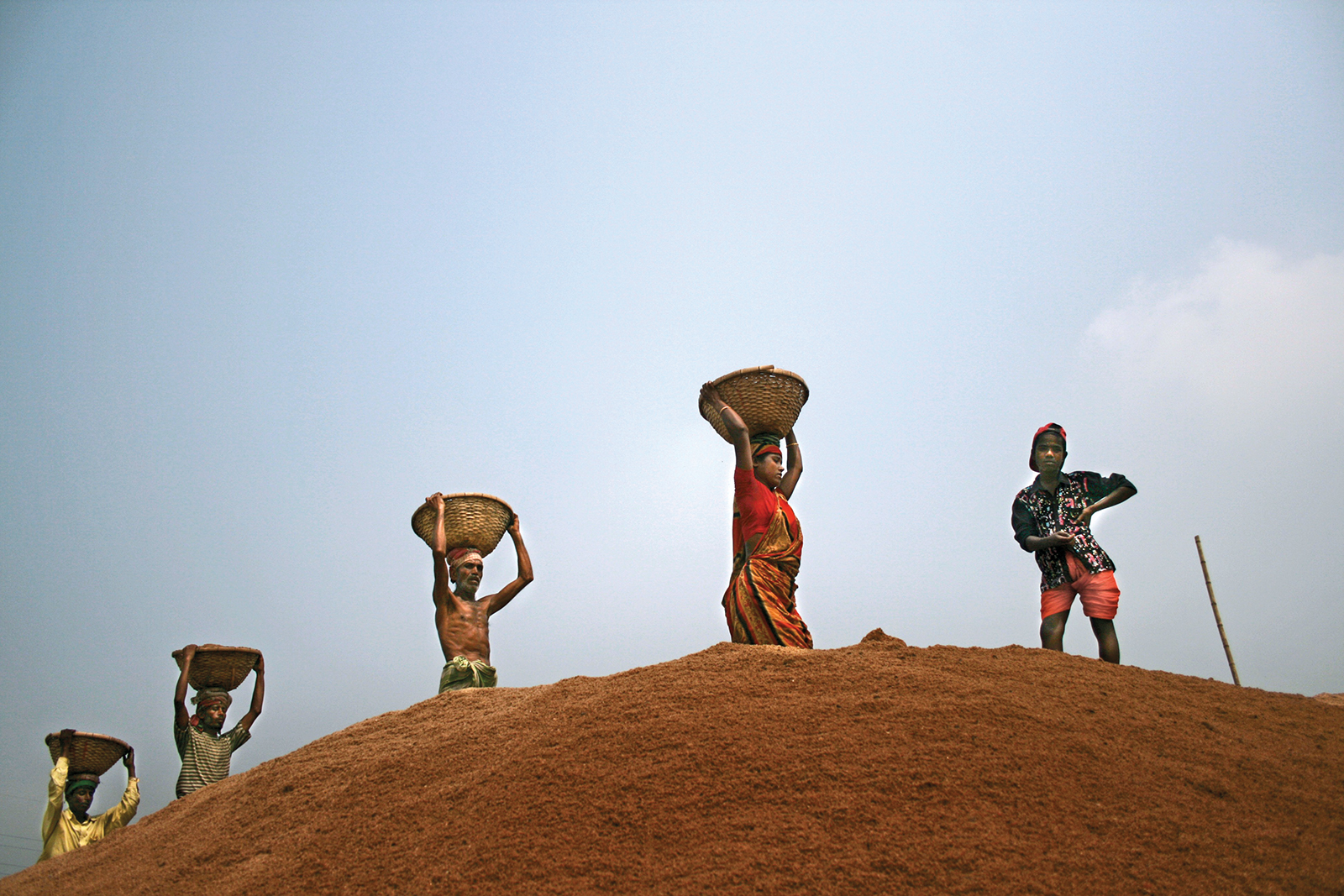 Govt should bring blue-collar workers under social safety-net