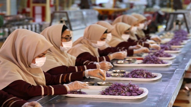 Iran’s saffron seeks global recognition