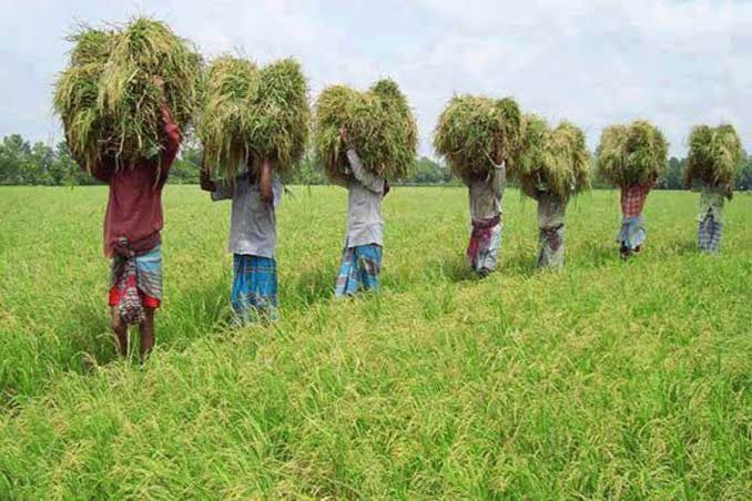 Bangladesh focuses on food security in new action plan