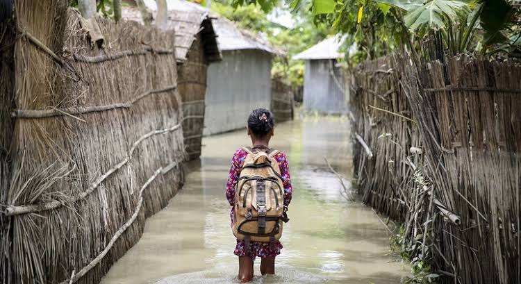 Progressive climate policy can reduce extreme poverty: study
