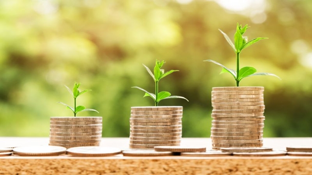 Ratio of direct green finance declines
