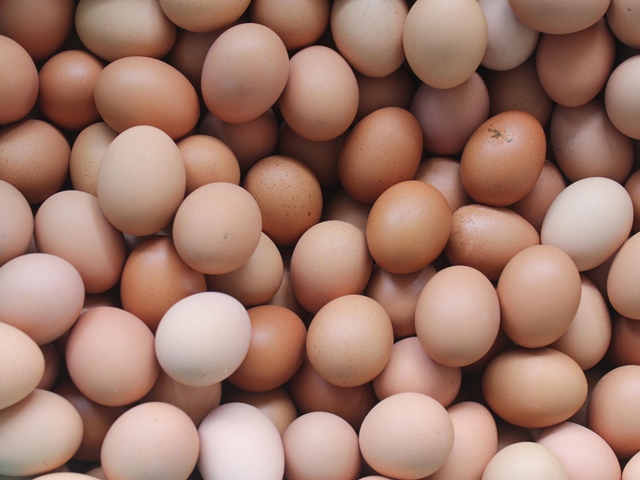 BD to become self-sufficient in egg production in FY20