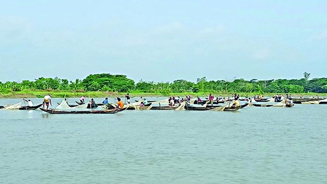 Indigenous fishes release huge eggs in Halda