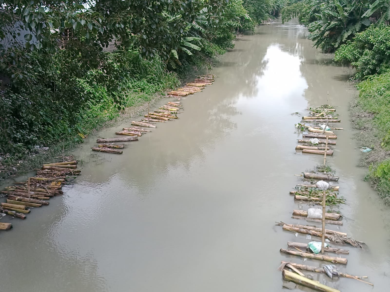 রাজবাড়ীতে মাছের চাহিদা ২৫,৩৯০ মেট্রিক টন।উৎপাদন ২৯৩৩৫ মেট্রিক টন