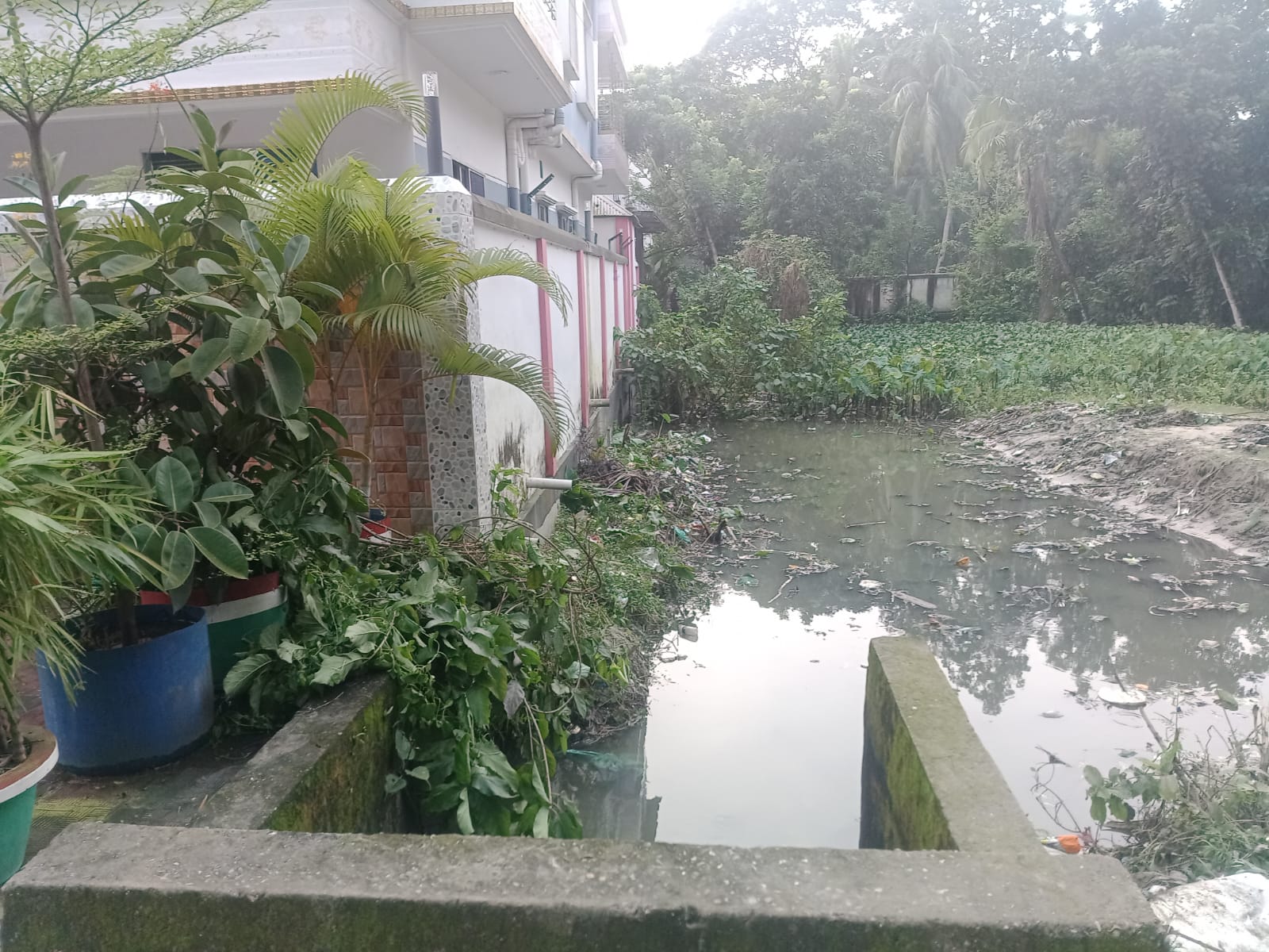 অপরিকল্পিত ড্রেনেজ ব্যবস্থা গলার কাটা হয়ে উঠেছে রাজবাড়ীতে