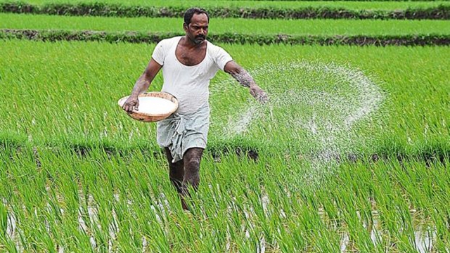 Urea supply crisis may hit next Boro crop