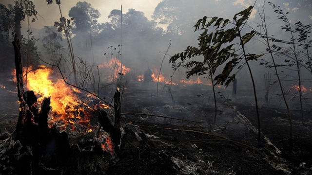 G-7 nations pledge $40 million to fight Amazon fires