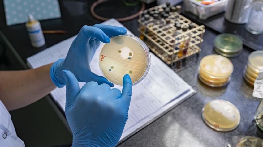 UN High-level meeting on antimicrobial resistance sparks hope
