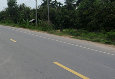 Govt moves to construct 317 km border roads