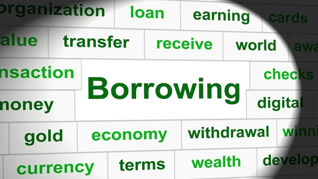 Govt borrows 85pc of the fiscal target in five months