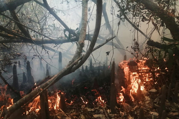 সুন্দরবনে ভয়াবহ আগুন, নেভাতে কাজ করছে বনবিভাগ ও গ্রামবাসী