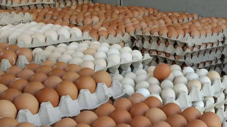 Govt permits import of 45 million eggs to stabilise market
