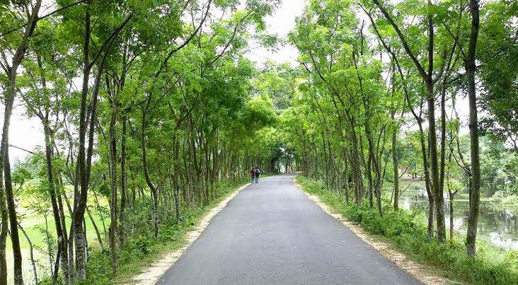 ADB approves $190mn additional funding for rural roads improvement in Bangladesh