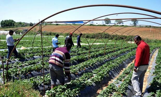 Greece to hire Bangladeshi farm hands