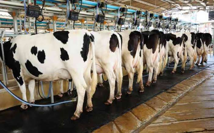 PRAN Dairy, US firm to boost Bangladesh’s dairy output