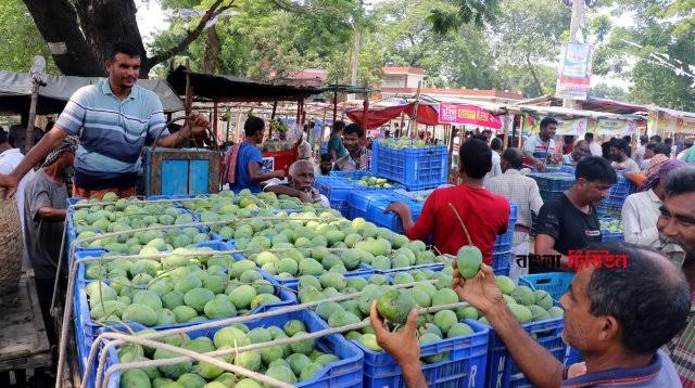 Mango lovers face pricey bite as weather woes hit production