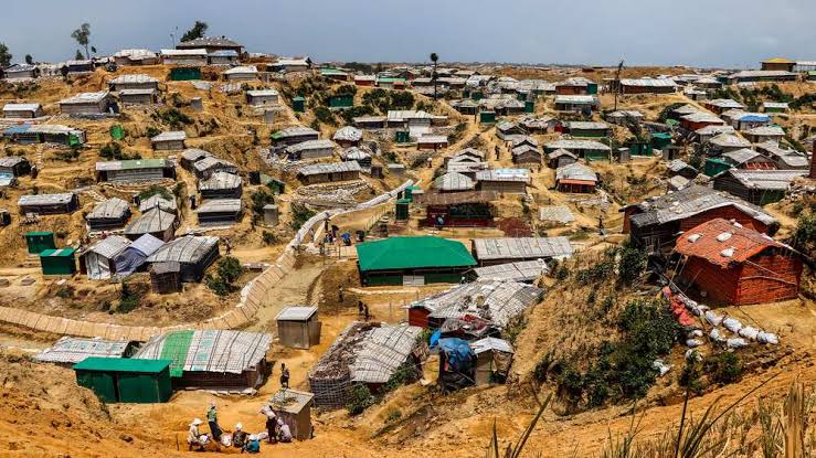 20pc of Rohingyas in Cox’s Bazar have hepatitis C: Survey
